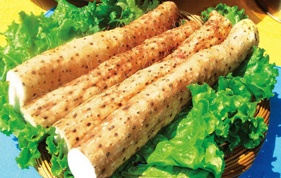 平?jīng)鎏禺a——山藥