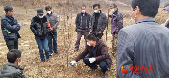 【甘肅全民戰(zhàn)“疫”】隴南徽縣：花椒田里培訓(xùn)忙，戰(zhàn)疫春耕兩不誤