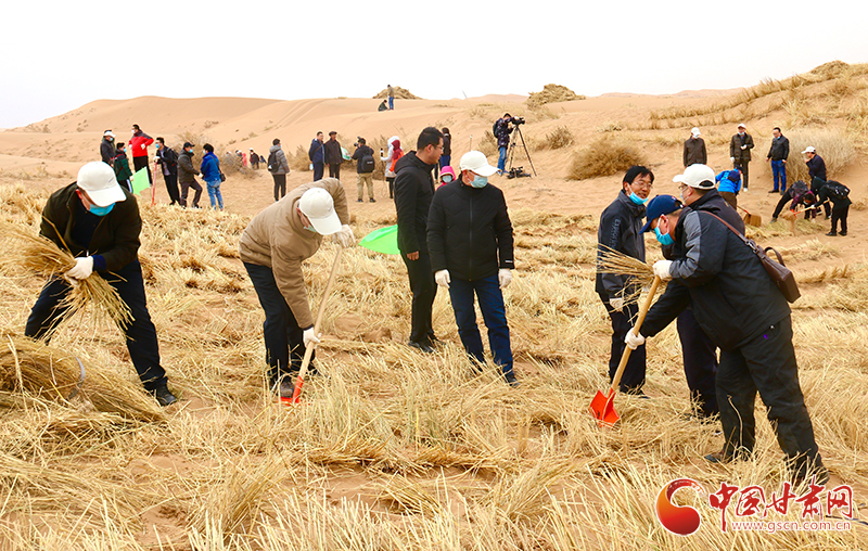 不“疫”樣的植樹節(jié)！甘肅省新聞戰(zhàn)線工作者攜手播綠“八步沙”（圖+視頻）