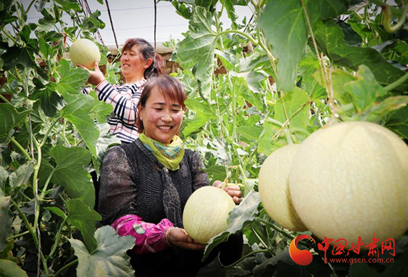 【決戰(zhàn)決勝脫貧攻堅】甘肅民勤：綠色產(chǎn)業(yè)鋪就小康路