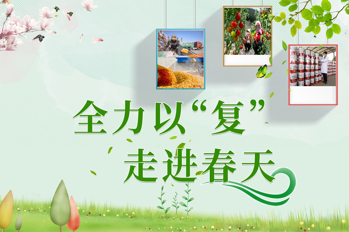 長圖|全力以“復”！甘肅走進春天里  