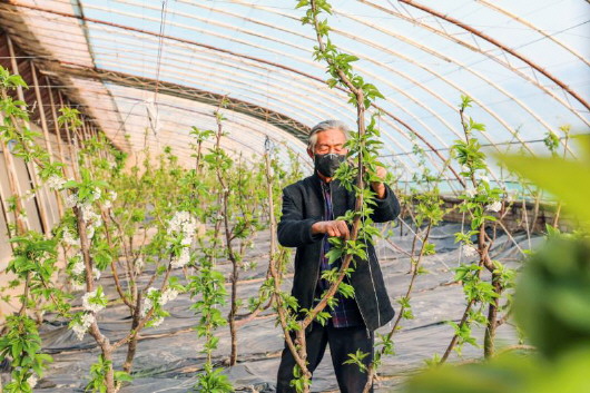 銅城復(fù)蘇：春光明媚，邀你共賞芳華（組圖）