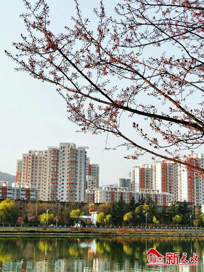 春天，古城天水的十個(gè)美麗瞬間