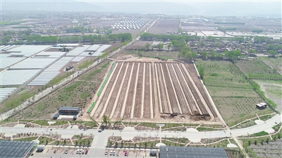 甘肅臨夏（中荷）國(guó)際鮮花港項(xiàng)目進(jìn)展順利