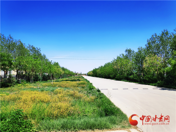 【甘肅省決戰(zhàn)決勝脫貧攻堅(jiān)】從“養(yǎng)羊”到“吃羊”：武威涼州這家企業(yè)形成產(chǎn)業(yè)閉環(huán)抗風(fēng)險(xiǎn)