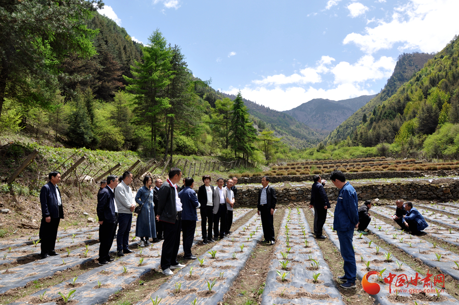 白龍江博峪河保護(hù)局開(kāi)展產(chǎn)業(yè)發(fā)展、義務(wù)勞動(dòng)成果現(xiàn)場(chǎng)觀摩交流活動(dòng)