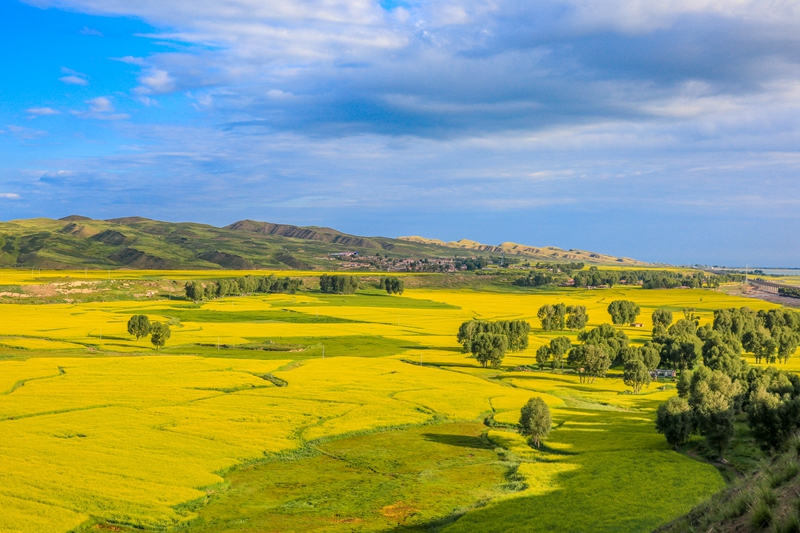 創(chuàng)意海報(bào)丨甘肅的美，你來(lái)了才知道