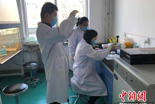 甘肅省核酸檢測(cè)試劑費(fèi)用由110元下降到80元以內(nèi)