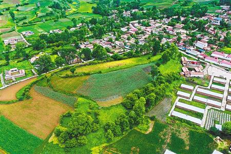 【溫暖的回響 滄桑巨變 飲水思源】這條路，通往幸福