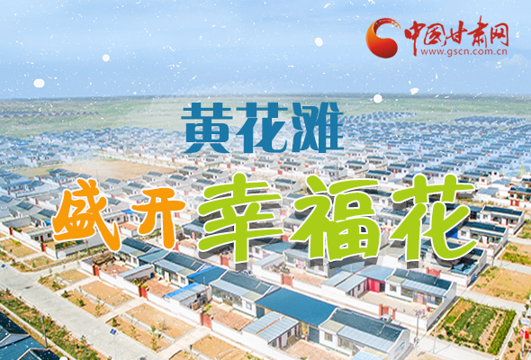 【跟著總書記看甘肅】長(zhǎng)圖|武威黃花灘盛開幸福花 