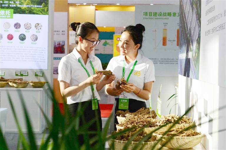 定西，從“千年藥鄉(xiāng)”邁向“中國藥都”