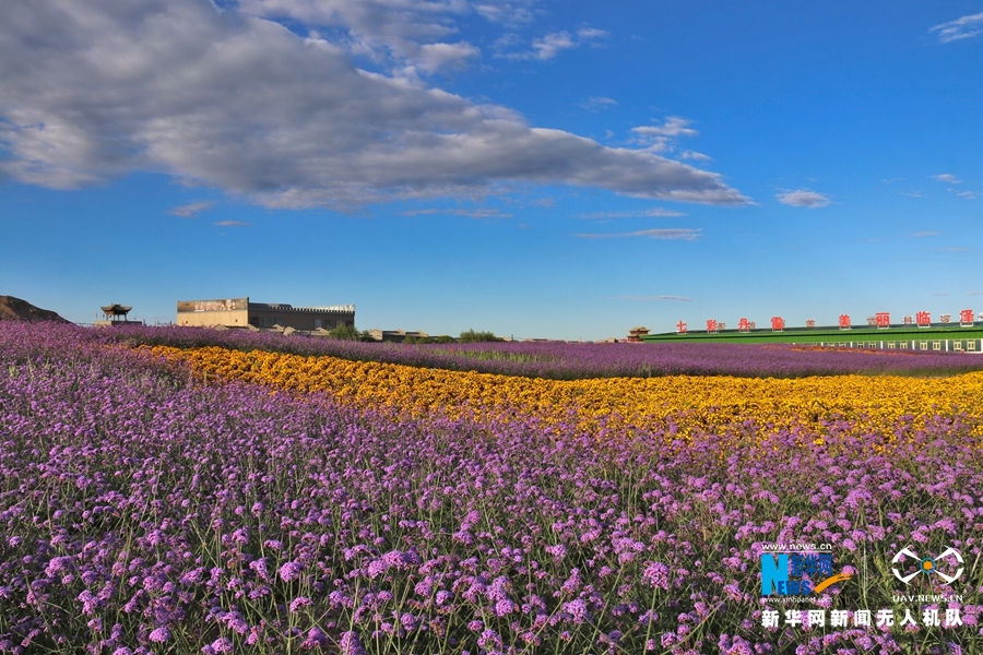 【“飛閱”中國】鳳凰花?！罢钩帷钡は伎?>
        </a><em>【“飛閱”中國】鳳凰花?！罢钩帷钡は伎?/em></li>
    <li><a  target=