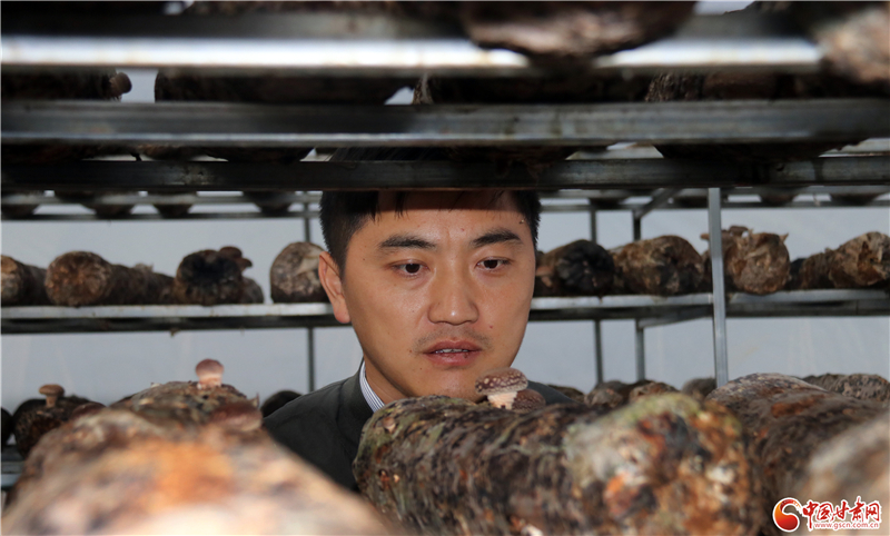 110年！何家溝村終于有了集體經濟——中建二局黨建結對幫扶成效顯著