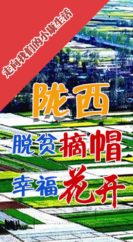 【走向我們的小康生活】長圖|隴西：脫貧摘帽 幸?；ㄩ_