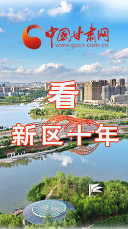 圖解|崛起！新區(qū)十年