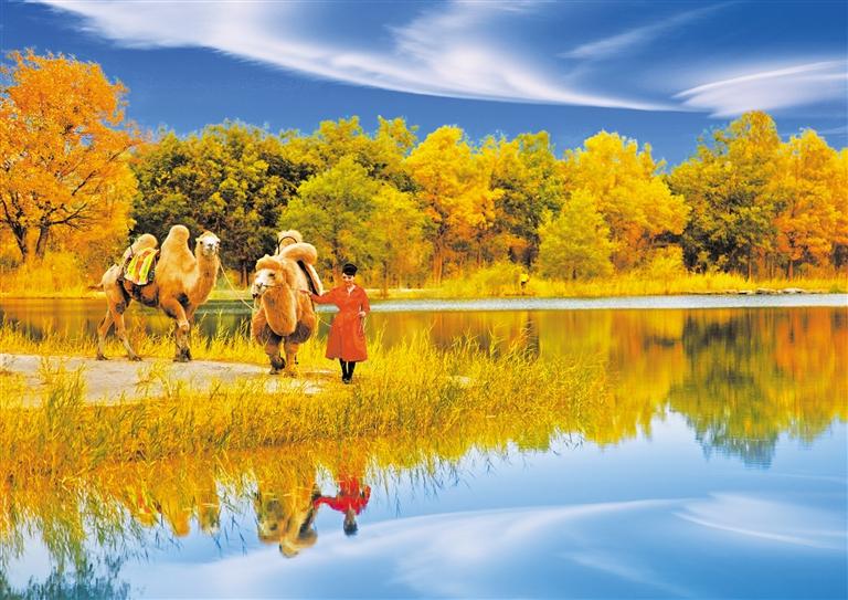 國慶長假，去金塔遇見最美胡楊