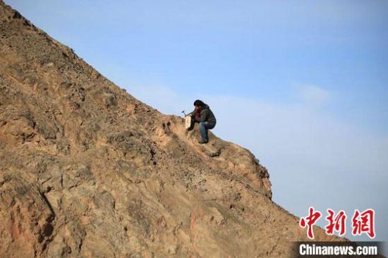 圖為敦煌“80后”畫(huà)家張杰龍?jiān)诙鼗腿Ｉ嚼锊杉V石顏料。(資料圖)受訪(fǎng)者供圖