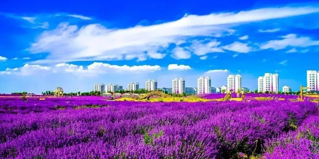 喜訊！金昌蟬聯(lián)全國(guó)文明城市