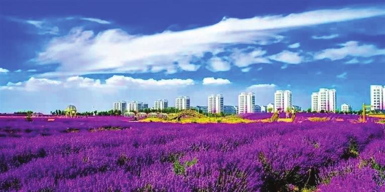 “三連冠”！金昌蟬聯(lián)全國文明城市