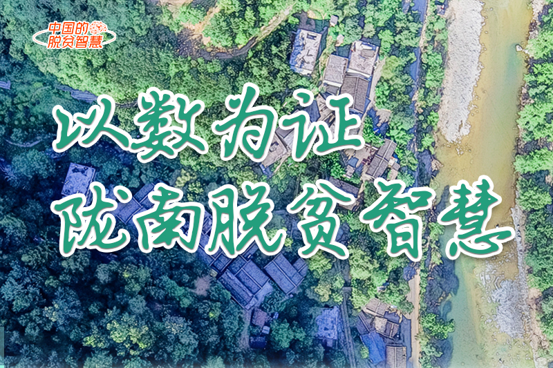 【中國(guó)的脫貧智慧】以數(shù)為證！隴南脫貧智慧來了！