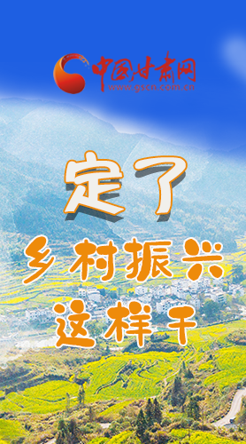 圖解|定了！全面推進鄉(xiāng)村振興這樣干！