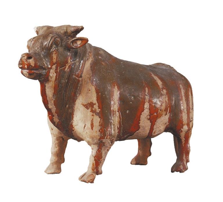 打開眼界丨牛年看牛，越看越牛!