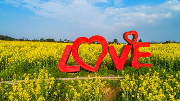 “l(fā)ove”創(chuàng)意拍照墻。廖濤 攝