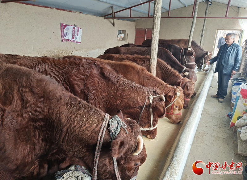 平?jīng)鰶艽ǎ骸芭！碑a(chǎn)業(yè)鋪就致富路