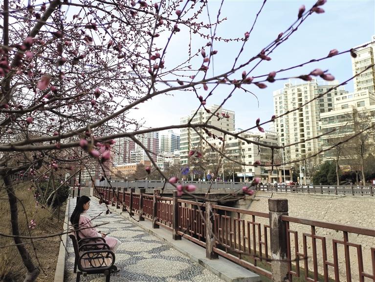 蘭州“第一朵花”開(kāi)了！