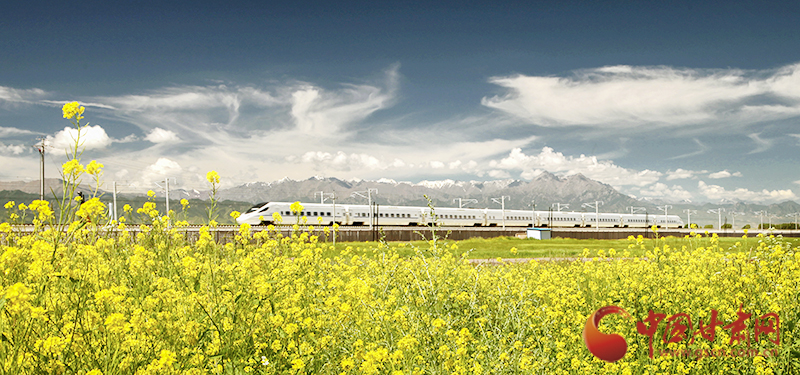 坐上火車“邂逅”春天，你可以這樣享“鐵路游”