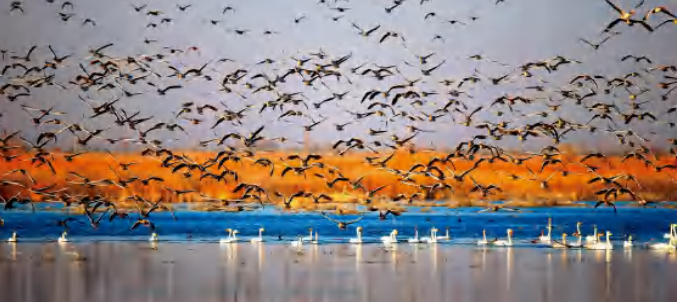 【百年華誕 絢麗隴原】第四篇章·第五單元|生態(tài)建設 綠水青山