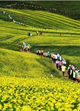 甘肅明確農(nóng)民進(jìn)城落戶(hù):不以退出承包地、林地等為條件