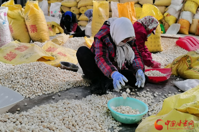 【甘快看】西和：發(fā)展中藥材產業(yè) 譜寫鄉(xiāng)村振興新篇章