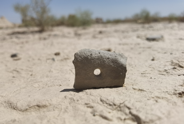 插圖1：河西走廊上遺存的古陶片。攝影：陳曉斌。拍攝日期：2020年6月。