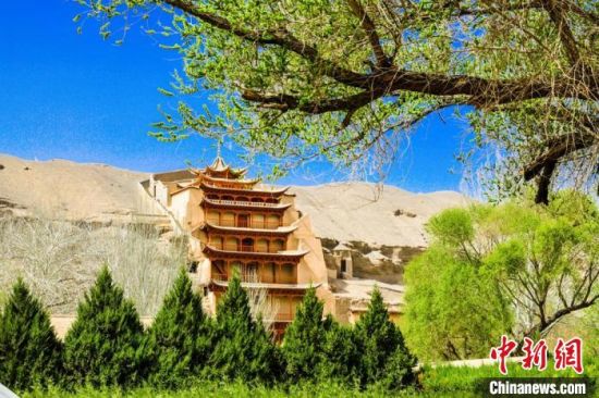 4月的敦煌莫高窟景區(qū)春意盎然。(資料圖) 王斌銀 攝