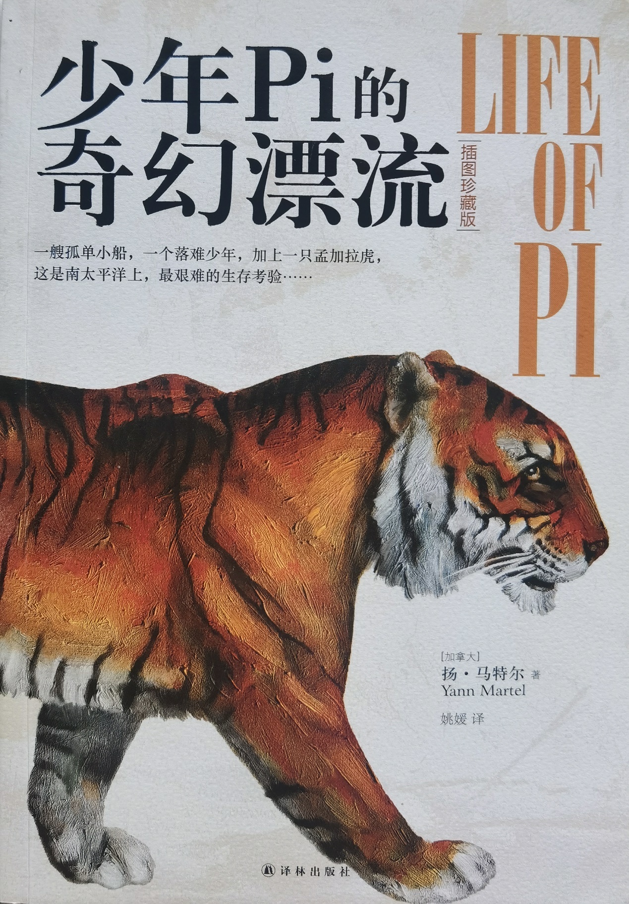 插圖1：揚？馬特爾的小說《少年pi的奇幻漂流》封面