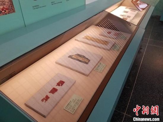 圖為展覽現(xiàn)場?！《鼗脱芯吭汗﹫D