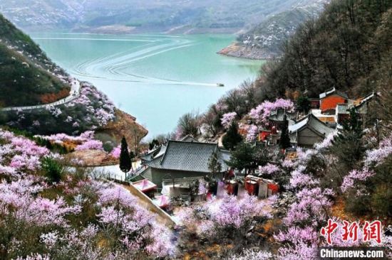 甘肅平?jīng)鍪惺侵袊鴥?yōu)秀旅游城市。圖為平?jīng)鲠轻忌较率锾一ㄊ㈤_。(資料圖) 平?jīng)鍪形麄鞑抗﹫D