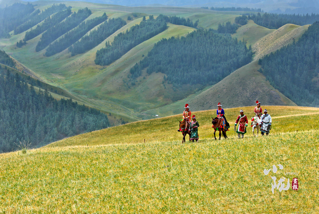 【小隴畫報(bào)·144期】張掖肅南：民族風(fēng)從草原來
