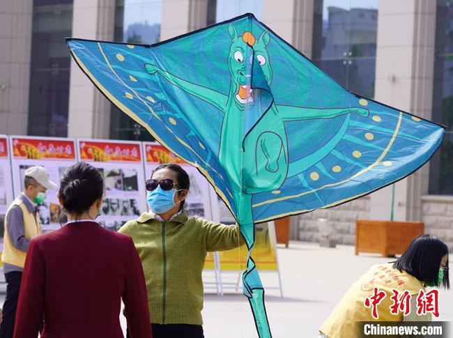5月18日，甘肅省博物館為觀眾免費(fèi)發(fā)放文創(chuàng)產(chǎn)品“綠馬飛俠”風(fēng)箏。　 九美旦增 攝