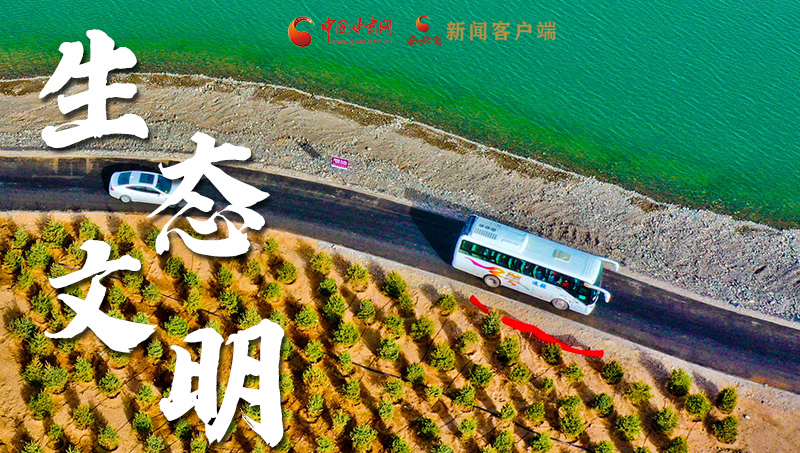 彈幕海報丨熱議甘肅省委十三屆十六次全會 網(wǎng)民聲音在回響！