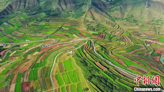 秋日里，榆中縣馬坡鄉(xiāng)千畝梯田，不同農(nóng)作物漸趨成熟，呈現(xiàn)出多種色彩，宛若大地的“調(diào)色盤”?！圆?攝