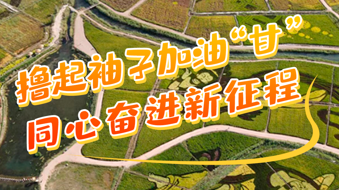 微海報(bào)|學(xué)報(bào)告 悟精神 擼起袖子加油“甘” 同心奮進(jìn)新征程(五)