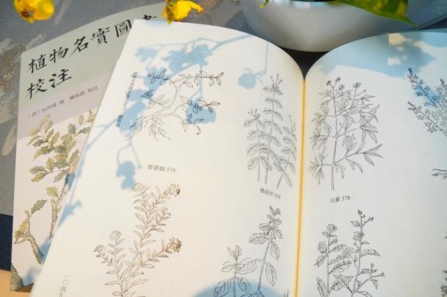 《植物名實(shí)圖考校注》內(nèi)頁。圖片來源：中華書局供圖