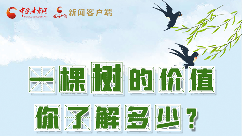 圖解|一棵樹(shù)的價(jià)值你了解多少?來(lái)看！