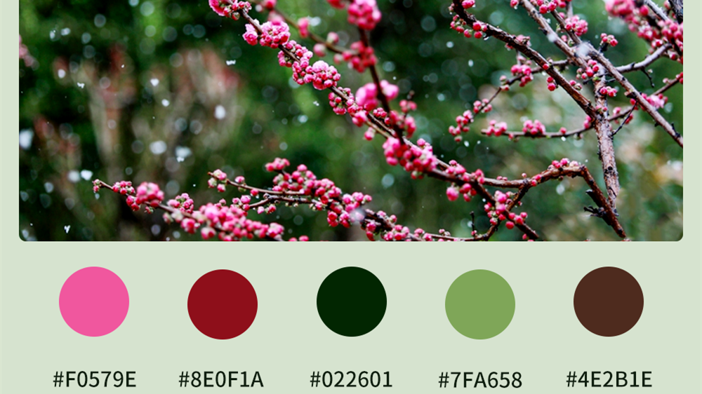 微海報|收藏！色卡里的春日甘肅