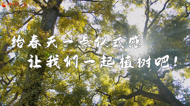 短視頻|給春天一點儀式感，讓我們一起植樹吧！