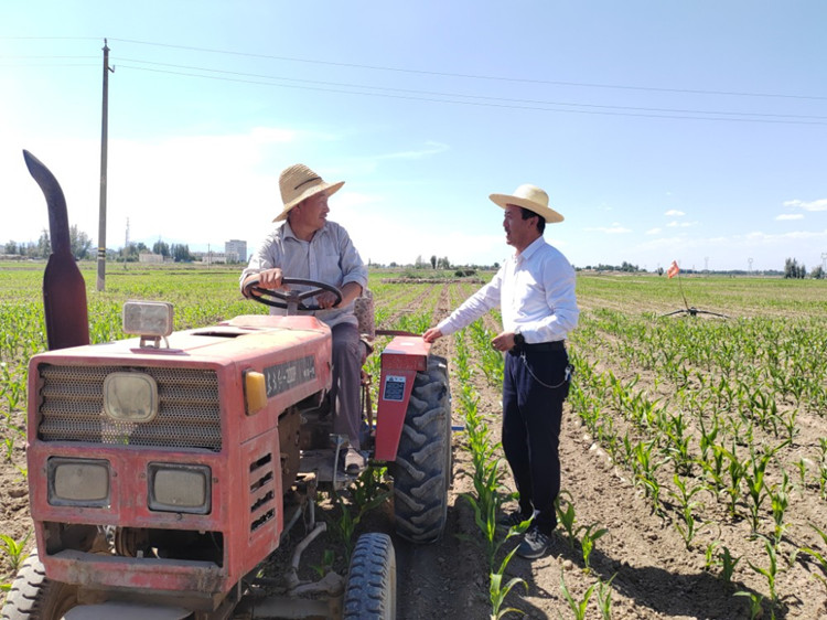 甘州區(qū)明永鎮(zhèn)紀委工作人員與正在田間作業(yè)的農民群眾了解相關惠農政策落實情況。.jpg