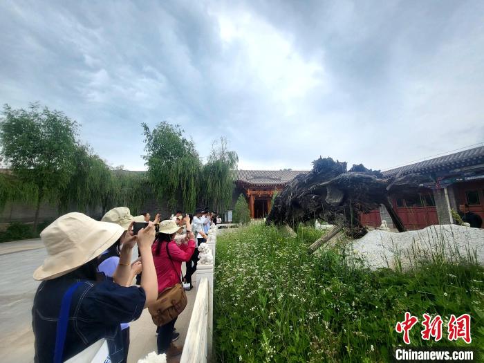 圖為媒體記者在青海永錄民俗參觀采訪?！⊙Φ?攝