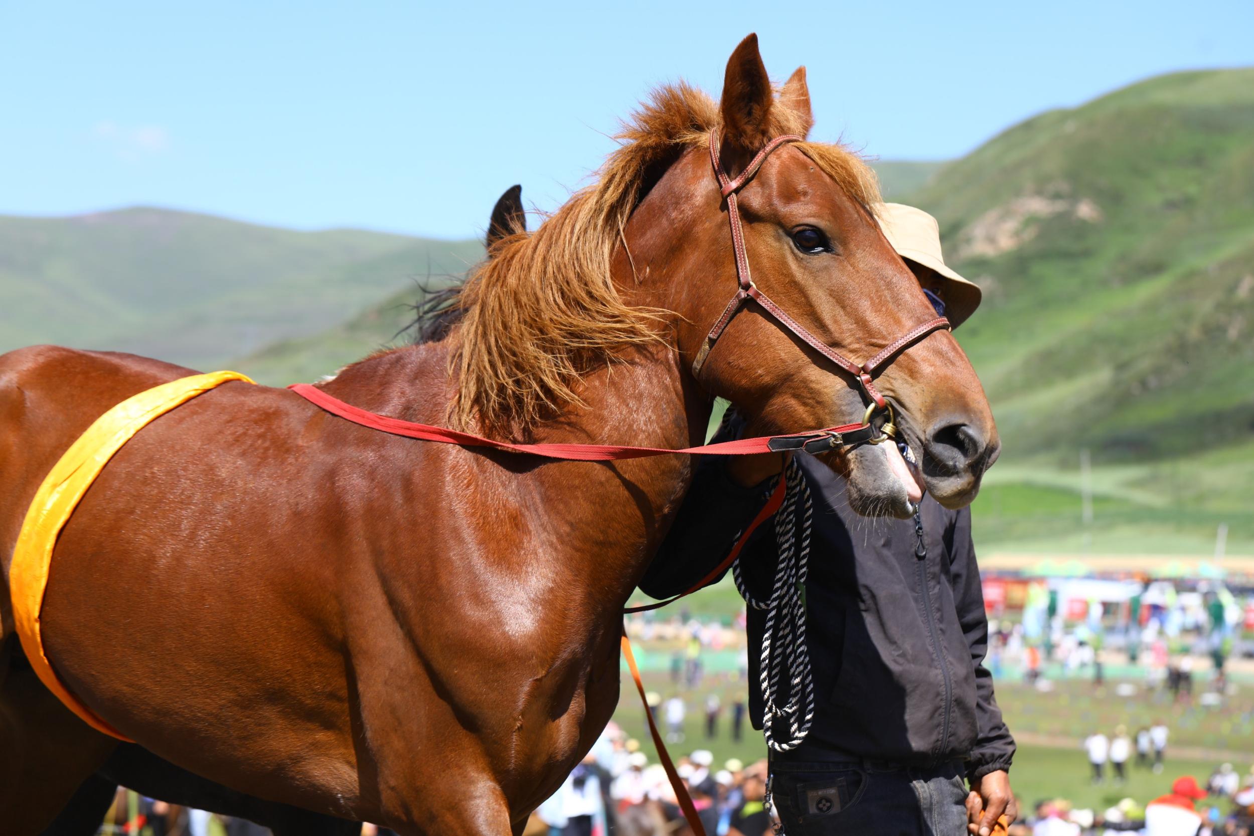 1690688391947080.jpg?x-oss-process=style/w10 L84A8537.JPG